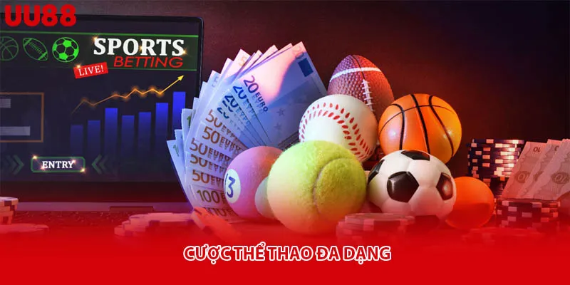 Cược thể thao đa dạng